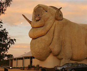 Big Merino - Accommodation Tasmania 3