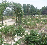 Victoria Park Rose Garden - Accommodation Tasmania