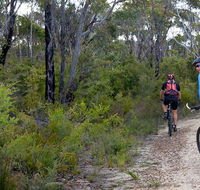 McMahon's Point ride - Wentworth Falls - Accommodation Tasmania