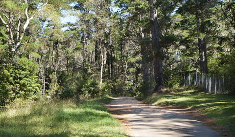 McMahon's Point Ride - Wentworth Falls - Accommodation Tasmania 2