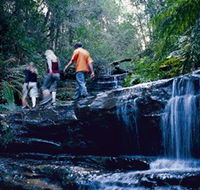 South Lawson Waterfall Circuit - Accommodation Tasmania