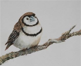 Bungendore Fine Art - Accommodation Tasmania 1