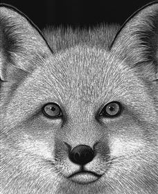 Bungendore Fine Art - Accommodation Tasmania 2