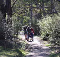 Syd's Rapids and Aboriginal Heritage Trail Avon Valley - Accommodation Tasmania