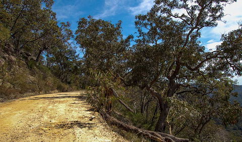 Parr State Conservation Area - Accommodation Tasmania 0