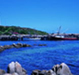 King Island Dairies - Accommodation Tasmania
