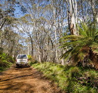 Barrington trail - Accommodation Tasmania