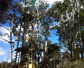 Trees Adventure Grose River Park - Accommodation Tasmania 1