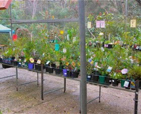 Glenbrook Native Plant Reserve And Nursery - Accommodation Tasmania 3