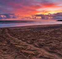 Mon Repos Beach - Accommodation Tasmania