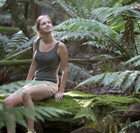 Barrington Tops National Park - Honeysuckle Forest Track - Accommodation Tasmania