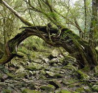 Mitchell River Walking Track - Accommodation Tasmania