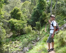 Mitchell River Walking Track - Accommodation Tasmania 1