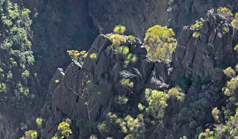 Bungonia National Park - Accommodation Tasmania 2