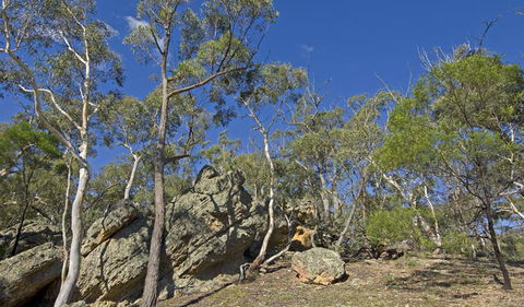 Bungonia National Park - Accommodation Tasmania 3