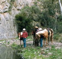 Yarramba Horse Riding - Accommodation Tasmania