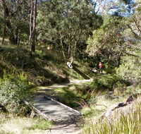 Wollomombi walking track - Accommodation Tasmania
