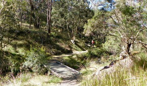Wollomombi Walking Track - Accommodation Tasmania 0