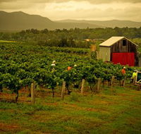 Around Hermitage Wine and Food Trail Hunter Valley - Accommodation Tasmania