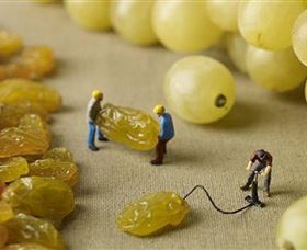 Hunter Valley Wine School - Accommodation Tasmania 0