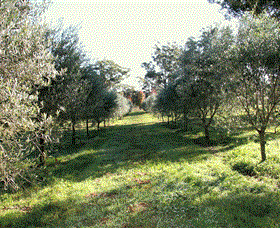 Langdale Farm - Accommodation Tasmania