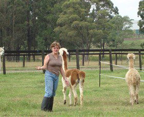 Langdale Farm - Accommodation Tasmania 4