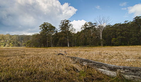 Mummel Gulf National Park - Accommodation Tasmania 0