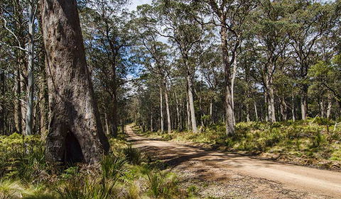 Mummel Gulf National Park - Accommodation Tasmania 2