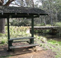 Barrington Tops State Forest - Accommodation Tasmania