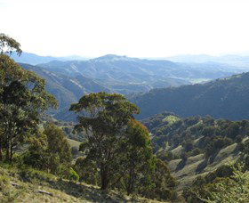 Barrington Tops State Forest - Accommodation Tasmania 2