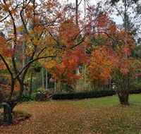 Bellbird Cottage - Accommodation Tasmania