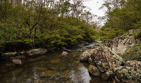 River Walking Track - Accommodation Tasmania 0
