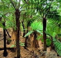 Pegarah Private Nature Reserve  Parenna Place - Accommodation Tasmania