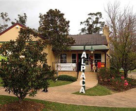 Australian Alpaca Barn - Hunter Valley Gardens - Accommodation Tasmania 0