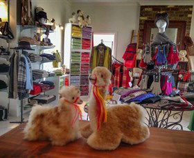 Australian Alpaca Barn - Hunter Valley Gardens - Accommodation Tasmania 2