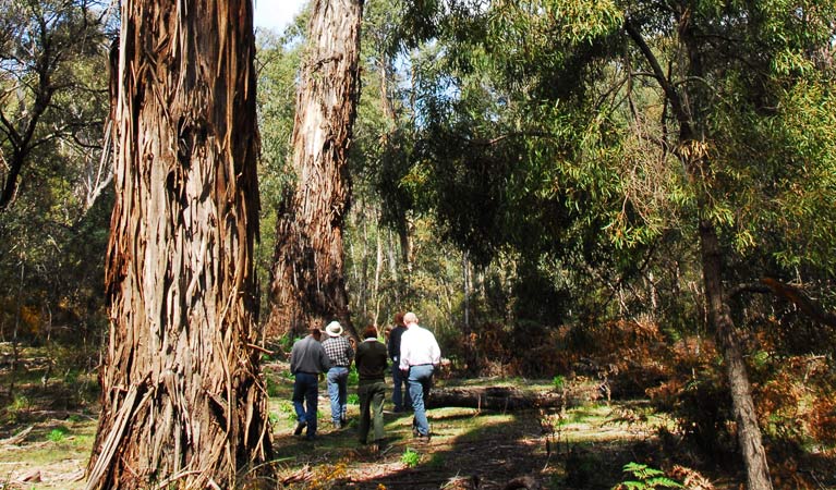 Ballalaba NSW Accommodation Tasmania