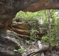Cave Creek Walking Track - Accommodation Tasmania