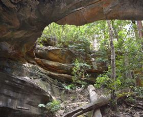 Cave Creek Walking Track - Accommodation Tasmania 0