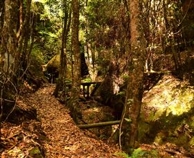 Cave Creek Walking Track - Accommodation Tasmania 2