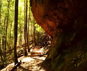 Cave Creek Walking Track - Accommodation Tasmania 1