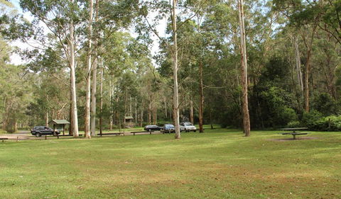 Mill Creek Picnic Area - Accommodation Tasmania 0