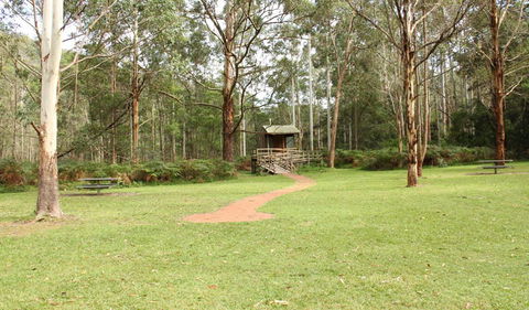 Mill Creek Picnic Area - Accommodation Tasmania 2