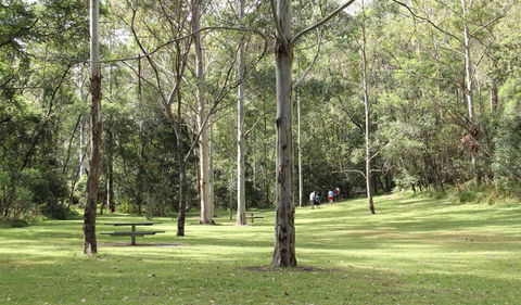 Mill Creek Picnic Area - Accommodation Tasmania 3