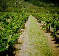 Gartelmann Wines - Accommodation Tasmania