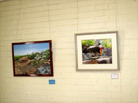 Maryborough Art Society Inc. - Accommodation Tasmania 2