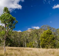 Brush Turkey track - Accommodation Tasmania