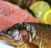 Lovedale Smokehouse Gourmet Pantry Cafe and Masterclasses - Accommodation Tasmania