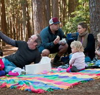State Forests of the Watagan Mountains - Accommodation Tasmania