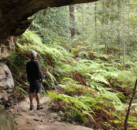 Dharug National Park - Accommodation Tasmania