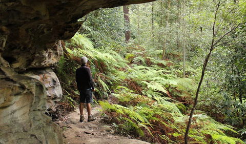 Dharug National Park - Accommodation Tasmania 0